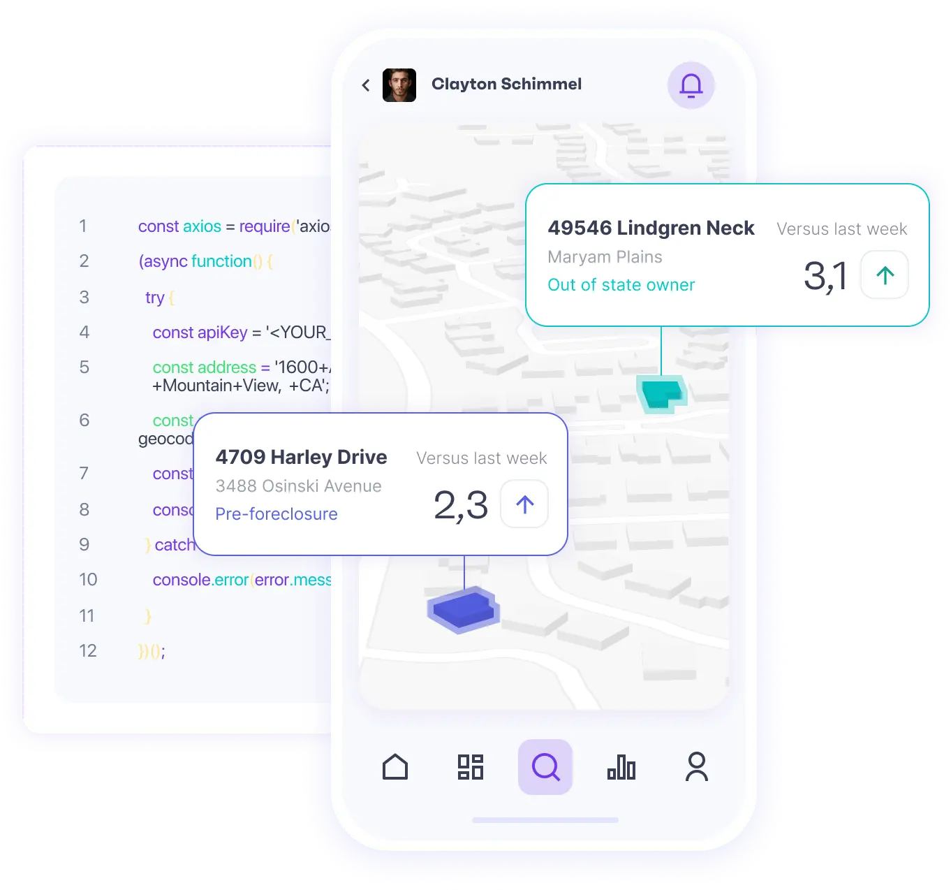 Geocoding and Mapping API display